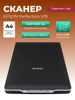 Сканер Perfection V19 планшетный А4 4800х4800 dpi Epson 182616216 купить за 10 308 ₽ в интернет-магазине Wildberries