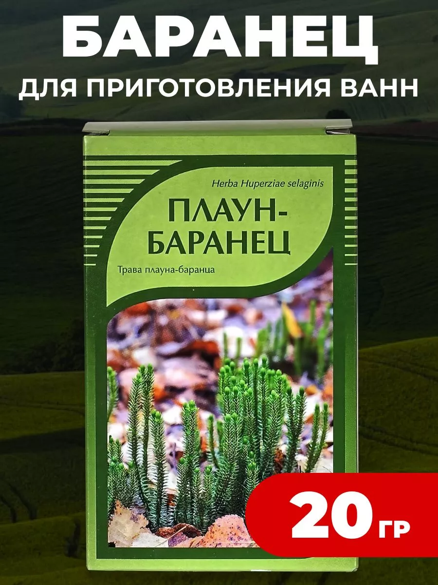 Плаун-баранец трава 20 г. bee lab 182619570 купить за 287 ₽ в  интернет-магазине Wildberries