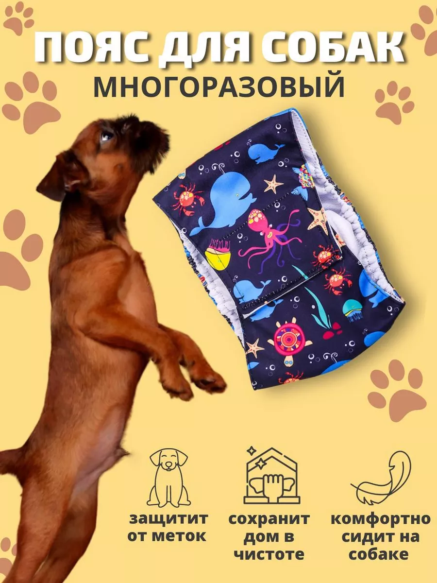 Пояс для кобеля многоразовый OnlyPet 182675940 купить за 395 ₽ в  интернет-магазине Wildberries