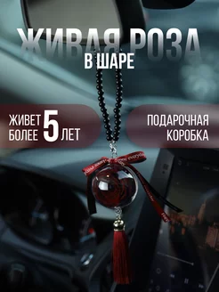 Aналитика товара вайлдберриз Вечная живая роза в колбе стабилизированная