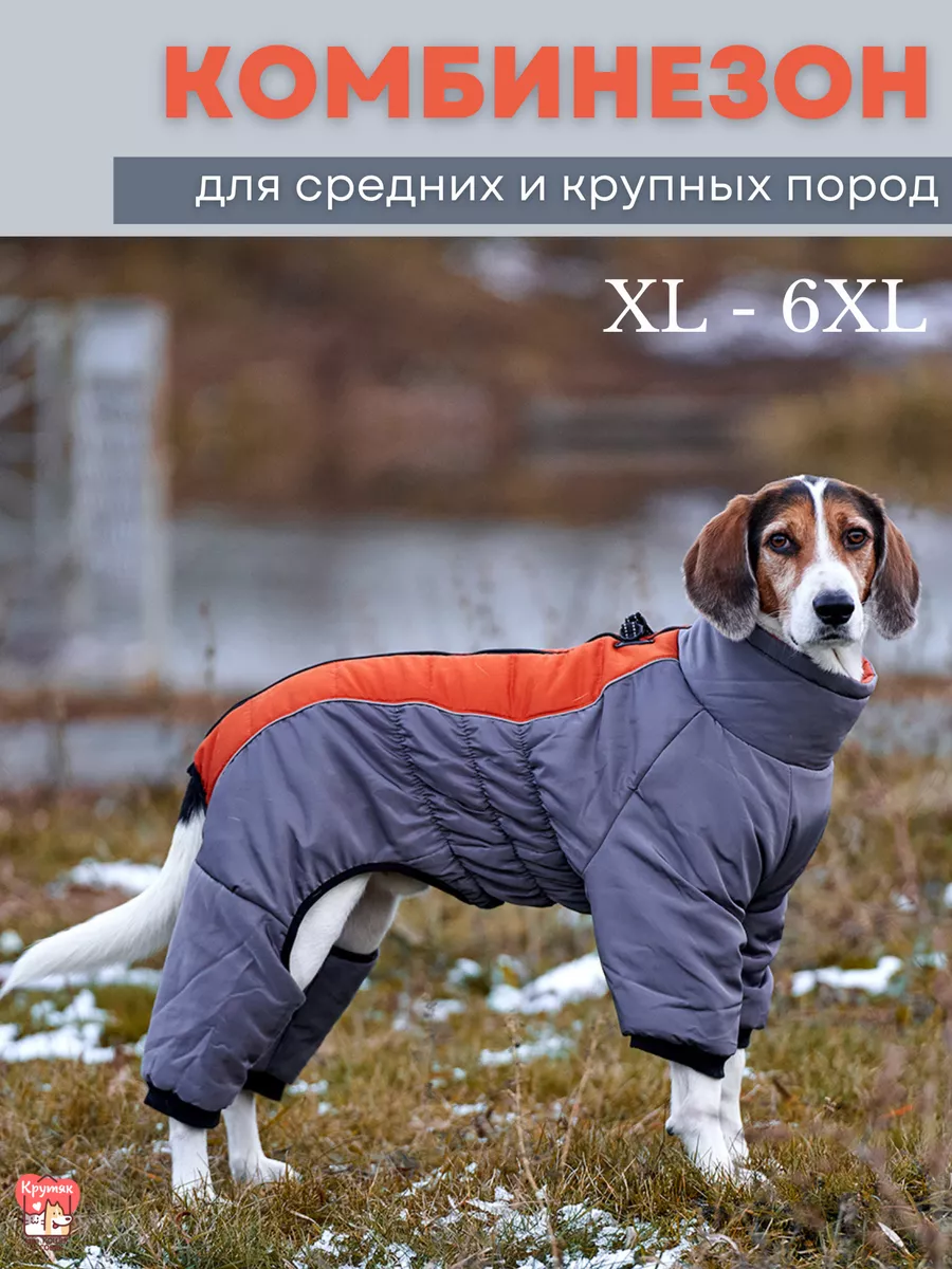 Одежда для больших собак, какая бывает, из чего шьют и как выбрать