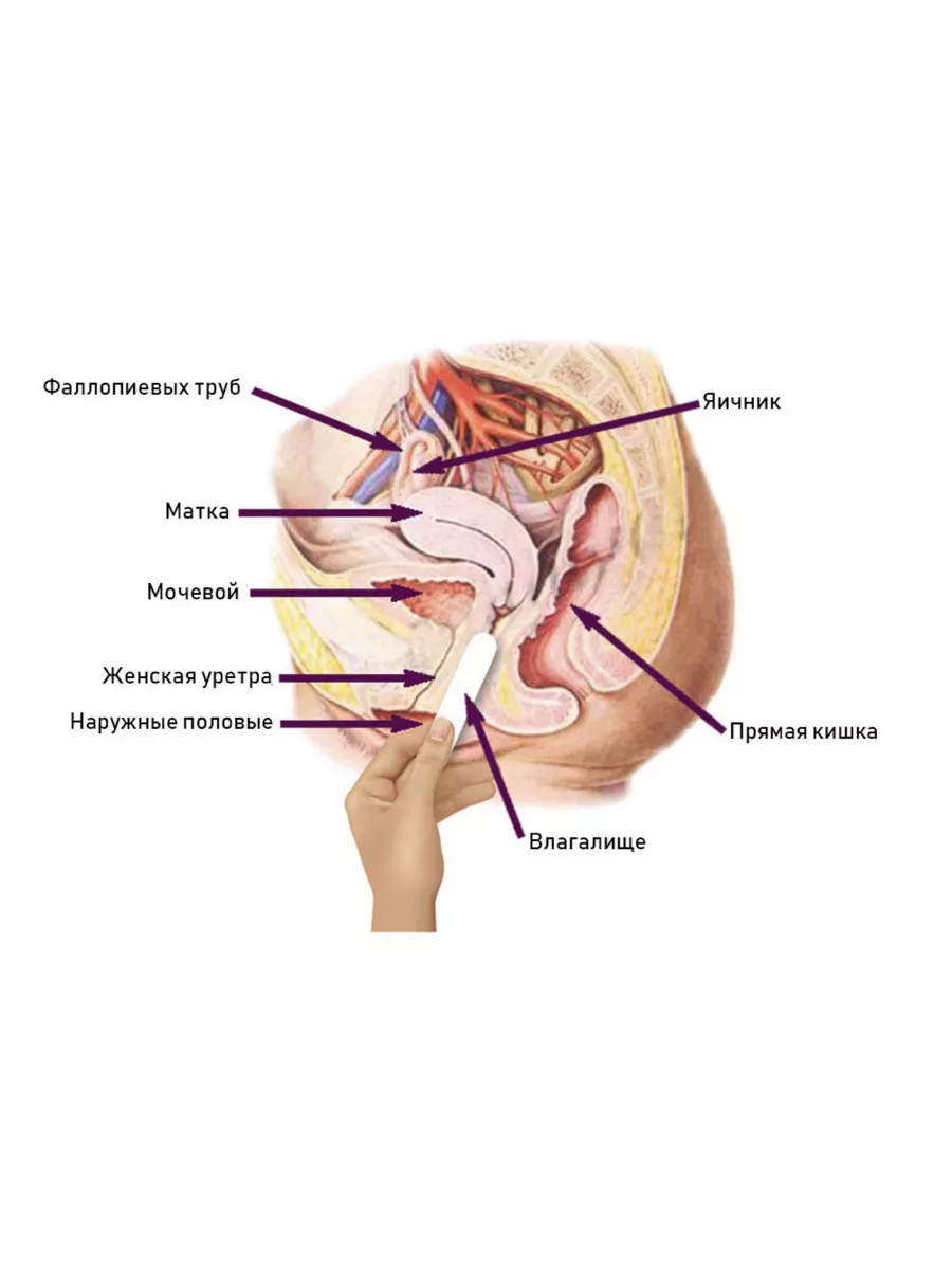 Палочка для сужения влагалища и сокращения матки 182852642 купить в  интернет-магазине Wildberries