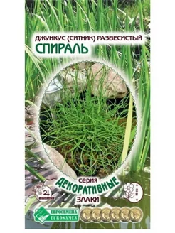 Джункус (ситник) развесистый Спираль, 5 шт. Евросемена 182883406 купить за 142 ₽ в интернет-магазине Wildberries