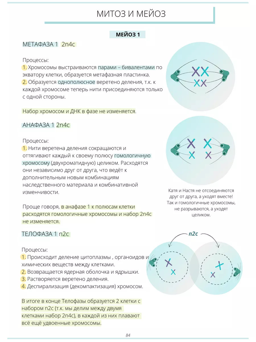 Учебник по биологии ЕГЭ, ОГЭ Онлайн-школа Breeze 182937823 купить в  интернет-магазине Wildberries