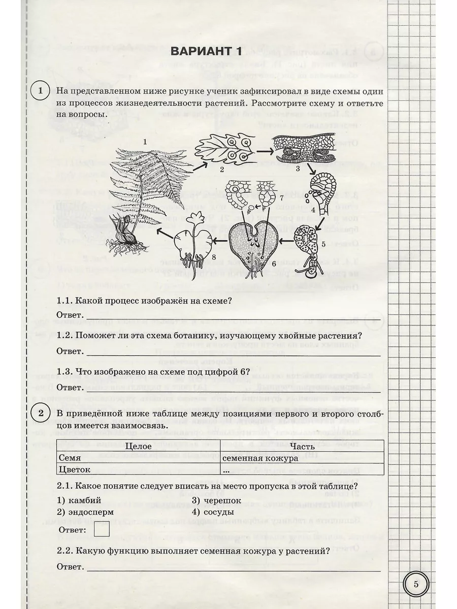 ВПР Биология 6 класс 25 вариантов ФГОС Экзамен 182965293 купить за 475 ₽ в  интернет-магазине Wildberries