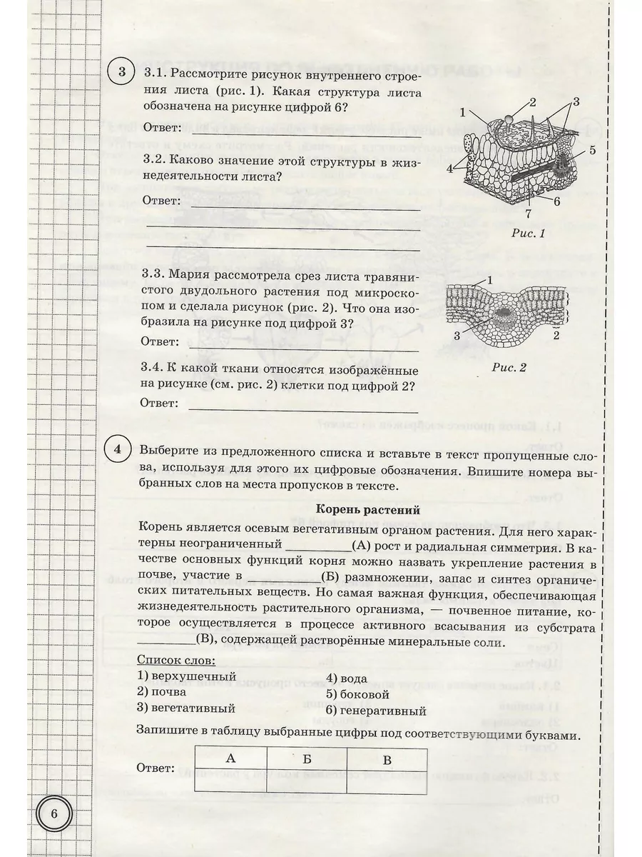 ВПР Биология 6 класс 25 вариантов ФГОС Экзамен 182965293 купить за 475 ₽ в  интернет-магазине Wildberries