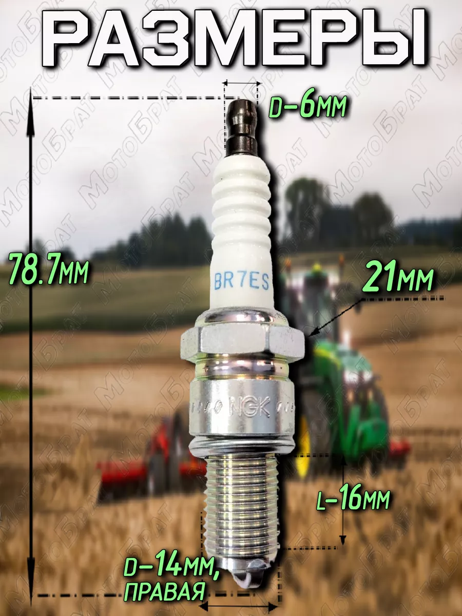 Свеча зажигания BR7ES для мотоблока культиватора Мотобрат 182965322 купить  за 410 ₽ в интернет-магазине Wildberries