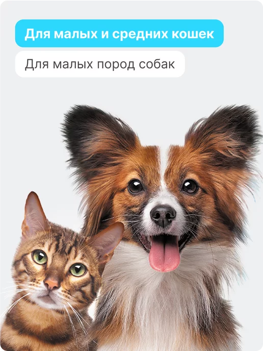 RICH BREED Домик для кошек и дом для собак деревянный, бежевый, фото 8