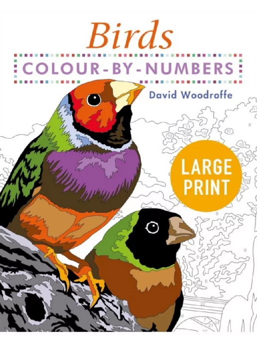 Arcturus Large Print Colour By Numbers Birds