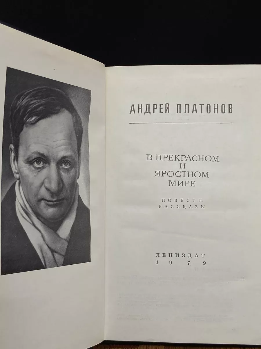 В прекрасном и яростном мире Лениздат 183028135 купить в интернет-магазине  Wildberries