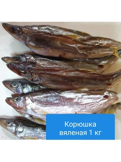 Корюшка вяленая 1кг Goodfish 183060692 купить за 2 343 ₽ в интернет-магазине Wildberries