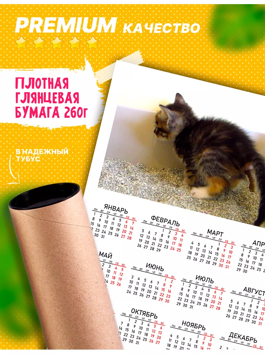 Rocket Print Календарь прикольный Какающие коты мем на 2024 год