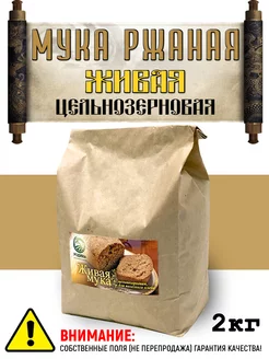 Мука ржаная цельнозерновая фермерская Живая мука 183095935 купить за 333 ₽ в интернет-магазине Wildberries