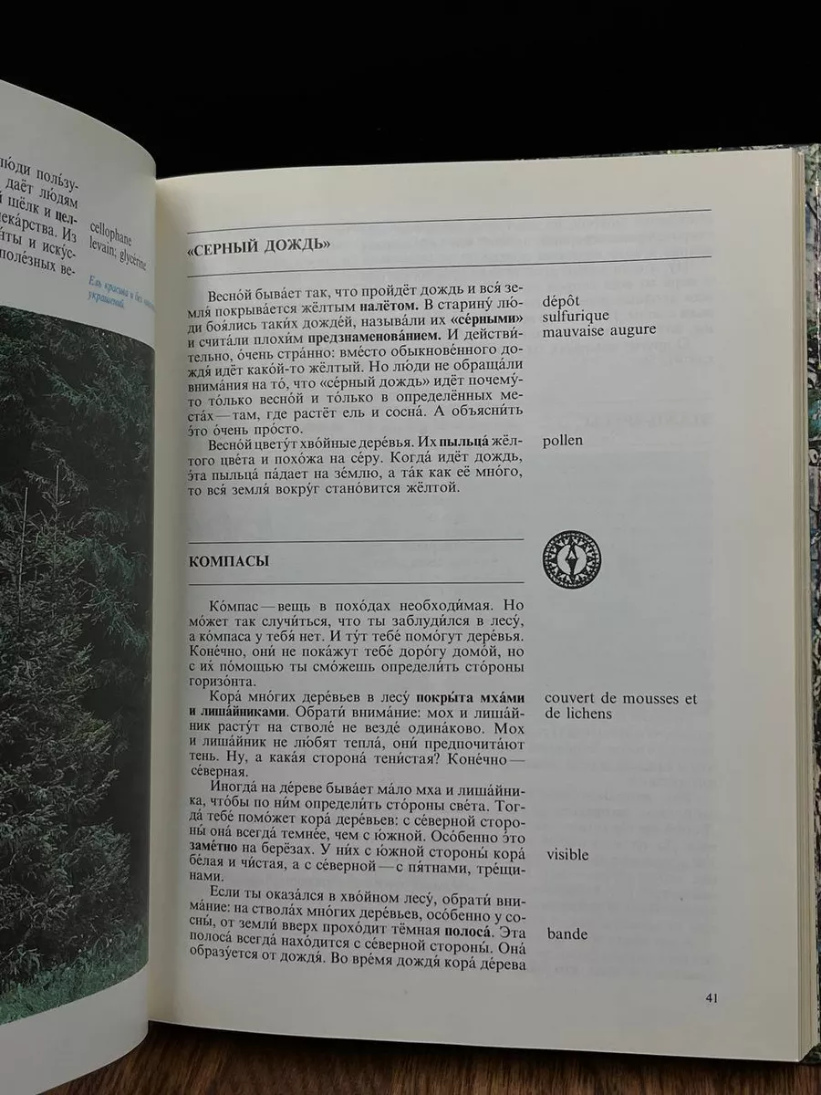 Необыкновенное путешествие в обыкновенный лес Русский язык 183164313 купить  за 431 ₽ в интернет-магазине Wildberries