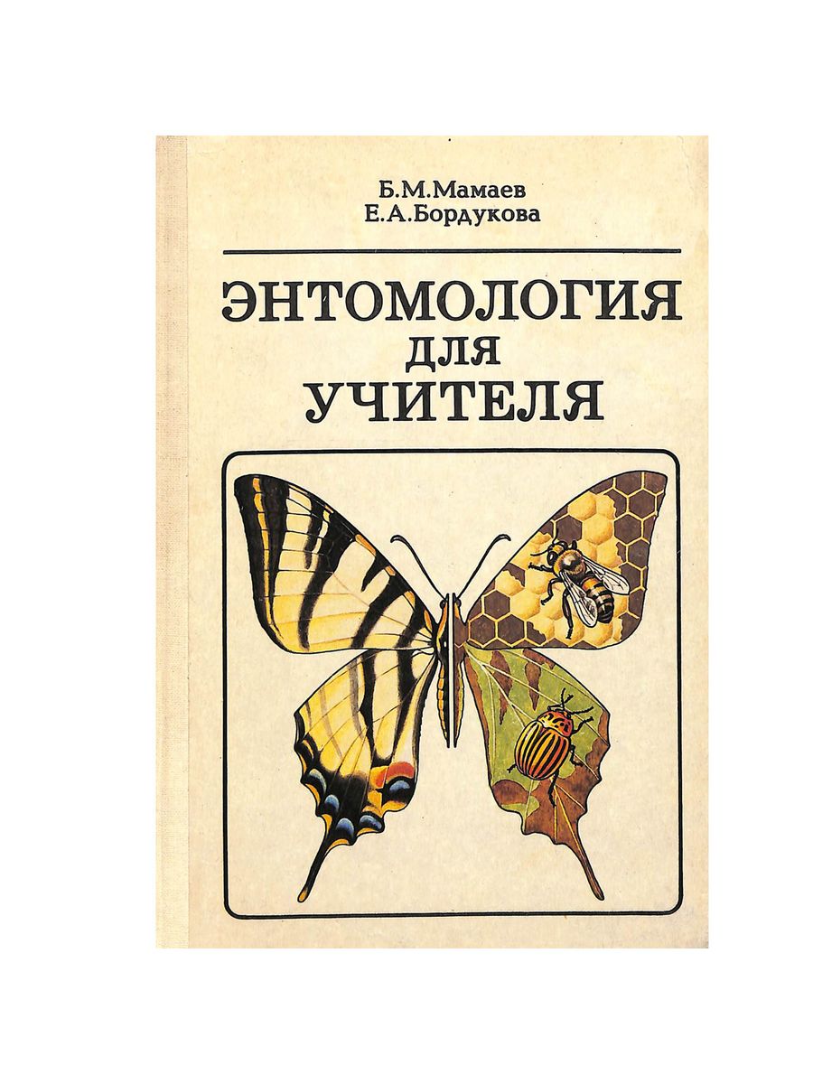 Энтомология для учителя Просвещение 183181586 купить в интернет-магазине  Wildberries