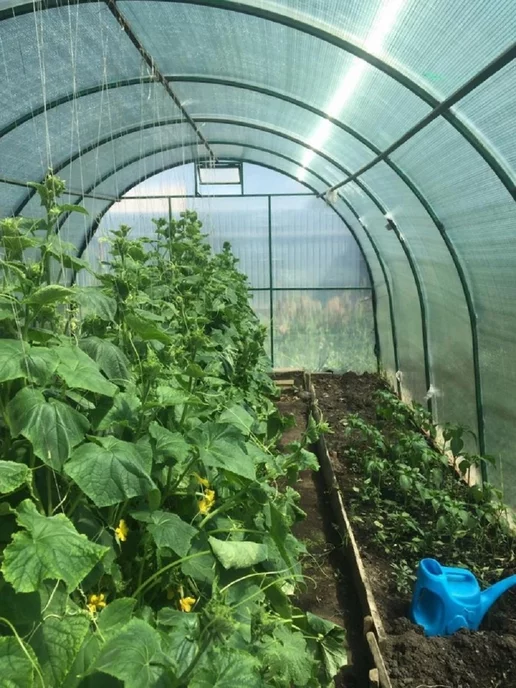PROTENT Сетка затеняющая 55 % укрывная для забора и теплиц 6х6 м, 6x6 м, фото 5