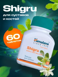 Шигру, Shigru Himalaya при артрите и ревматизме, 60 таб. Himalaya Herbals 183308655 купить за 365 ₽ в интернет-магазине Wildberries