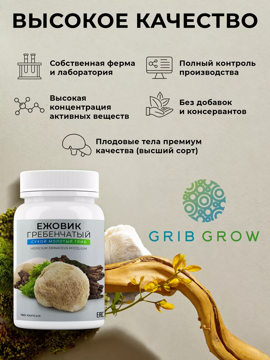 Ежовик гребенчатый в капсулах Grib Grow 183337643 купить за 1 008 ₽ в  интернет-магазине Wildberries