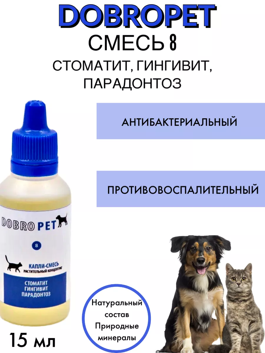 Воспаление ротовой полости у кошки: симптомы, диагностика, лечение | Hill's