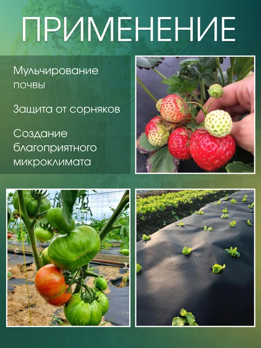 AgroMakHaus Спанбонд белый 80 3.2х5м для клубники от сорняков, 5 м, черный, фото 6