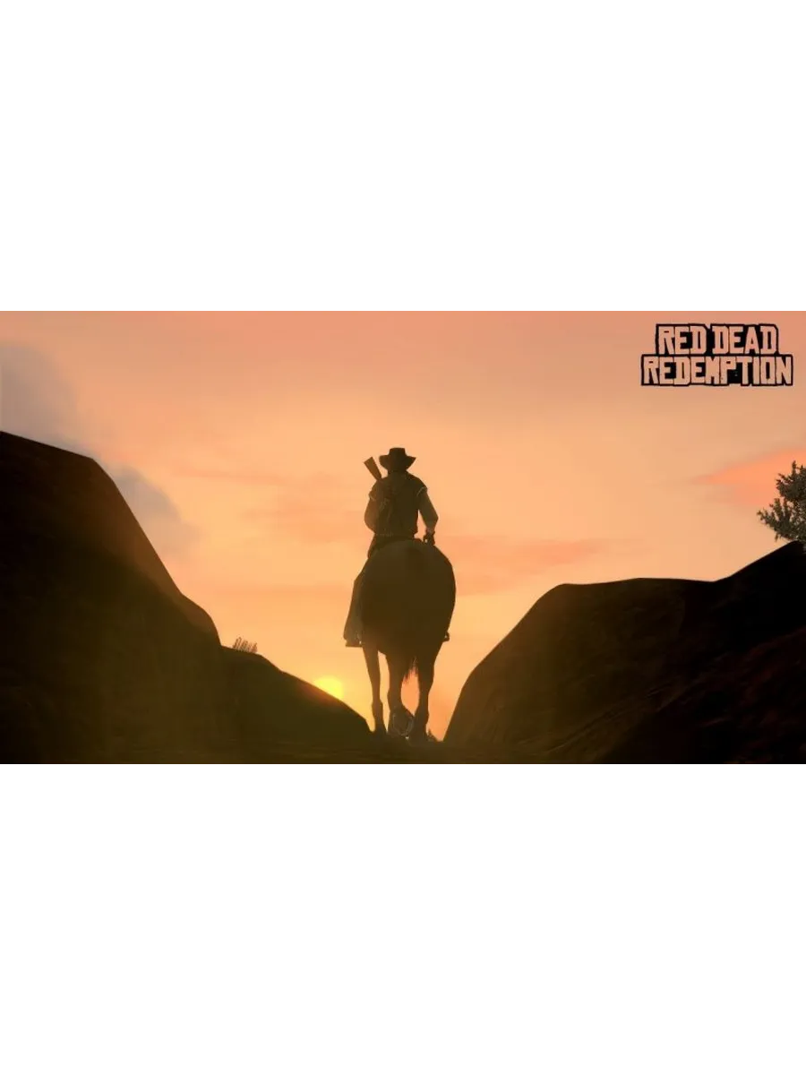 Red Dead Redemption PS3 Диск Игра PS3 183421790 купить за 3 153 ₽ в  интернет-магазине Wildberries