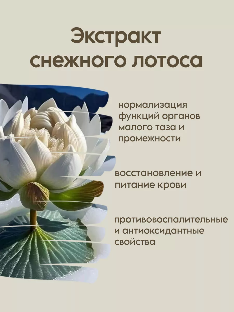 Snow Lotus Прокладки китайские лечебные антибактериальные ежедневные 12