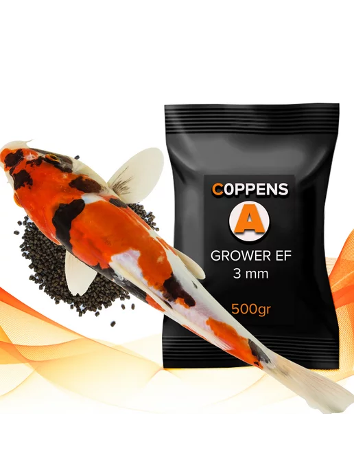Coppens GROWER EF 3мм, 500гр - корм для крупной рыбы, 500 г, фото 3