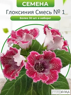 Глоксиния семена Микс простые Смесь №1, 30шт. 183505899 купить за 320 ₽ в интернет-магазине Wildberries