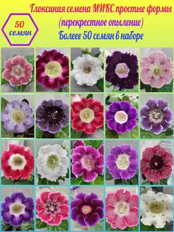 Глоксиния семена Микс простые_Смесь №1, 50шт Fiori Flora 183511231 купить за 380 ₽ в интернет-магазине Wildberries