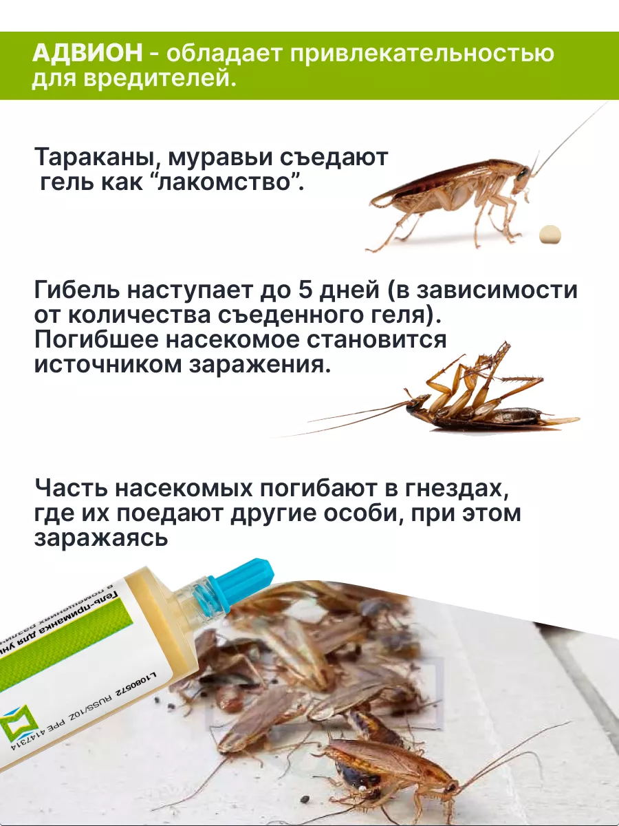 Средство Адвион гель от тараканов и муравьев 30гр Syngenta 183601145 купить  за 2 086 ₽ в интернет-магазине Wildberries