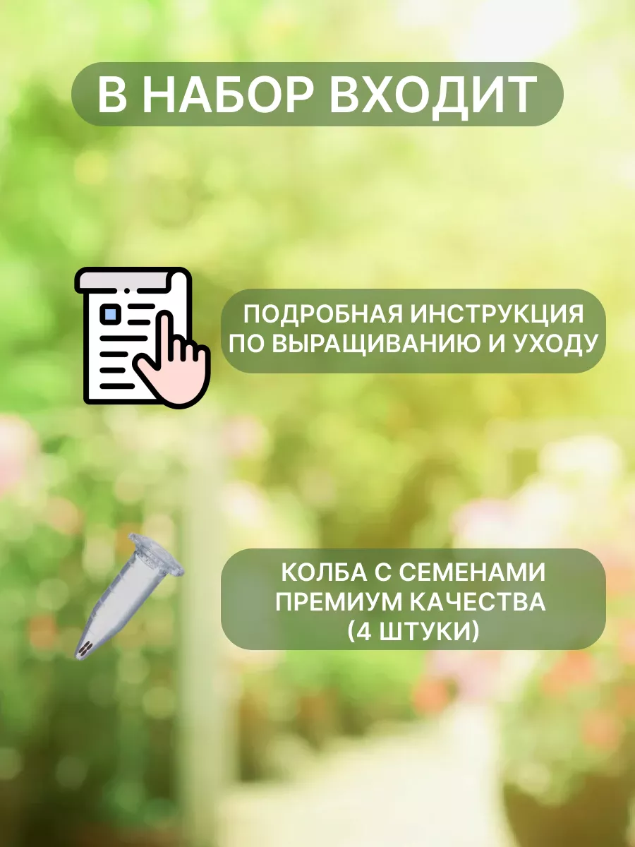 Герань эфирное масло (Египет, I сорт) 10мл купить по цене руб. в Аромареалити