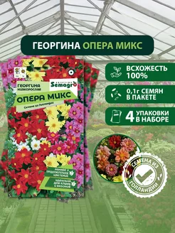 Семена георгины низкорослой Опера микс, 4 пакета Seminis 183662170 купить за 373 ₽ в интернет-магазине Wildberries