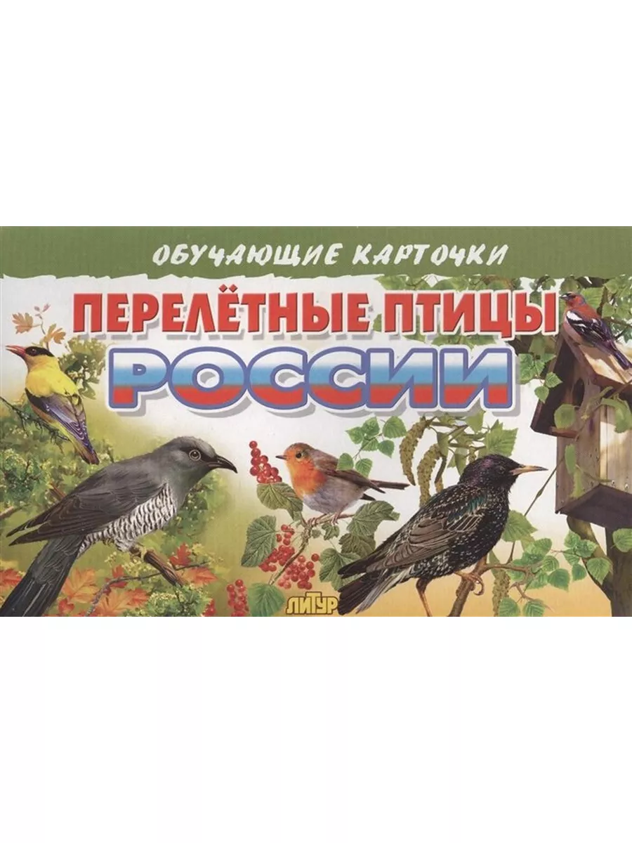 Перелетные птицы России Издательство Литур 183669031 купить за 231 ₽ в  интернет-магазине Wildberries