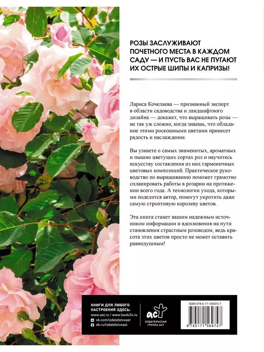 Люси Рэдкомб Шипы и розы скачать книгу fb2 txt бесплатно, читать текст онлайн, отзывы
