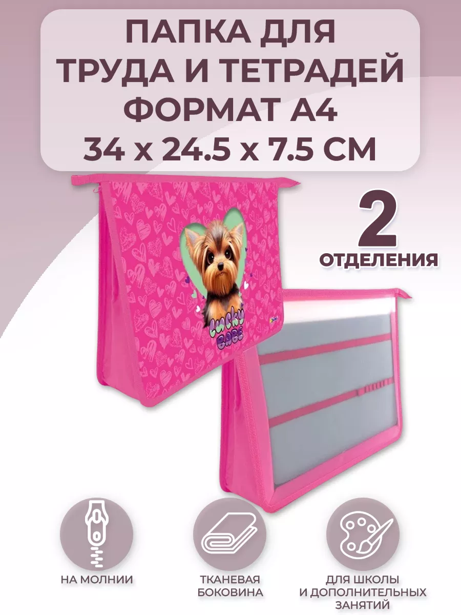 Папка школьная А4...