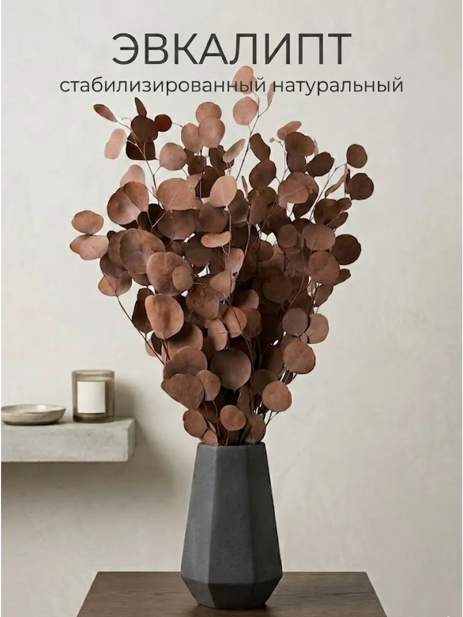 Эвкалипт стабилизированный натуральный сухоцвет для декора