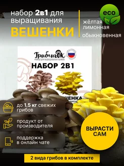 Набор 2 в 1 грибница вешенки обыкновенная и желтая Грибничок 183956995 купить за 433 ₽ в интернет-магазине Wildberries