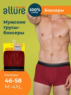 Трусы боксеры базовые PIERRE CARDIN 184130502 купить за 196 ₽ в интернет-магазине Wildberries