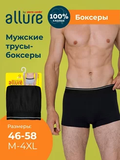 Трусы боксеры базовые Pierre Cardin 184153767 купить за 214 ₽ в интернет-магазине Wildberries