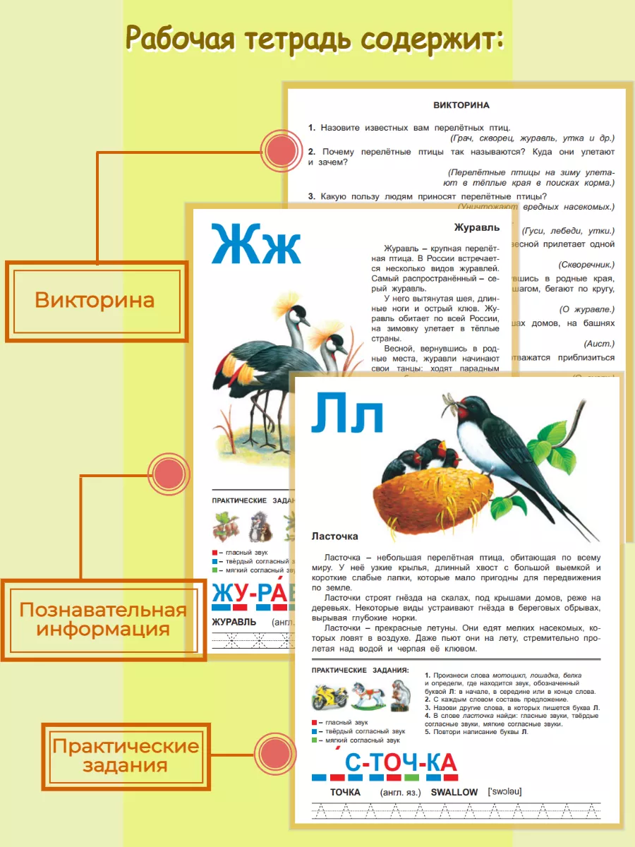 Рисунок на тему перелетные птицы для дошкольников (48 фото) » рисунки для срисовки на mountainline.ru