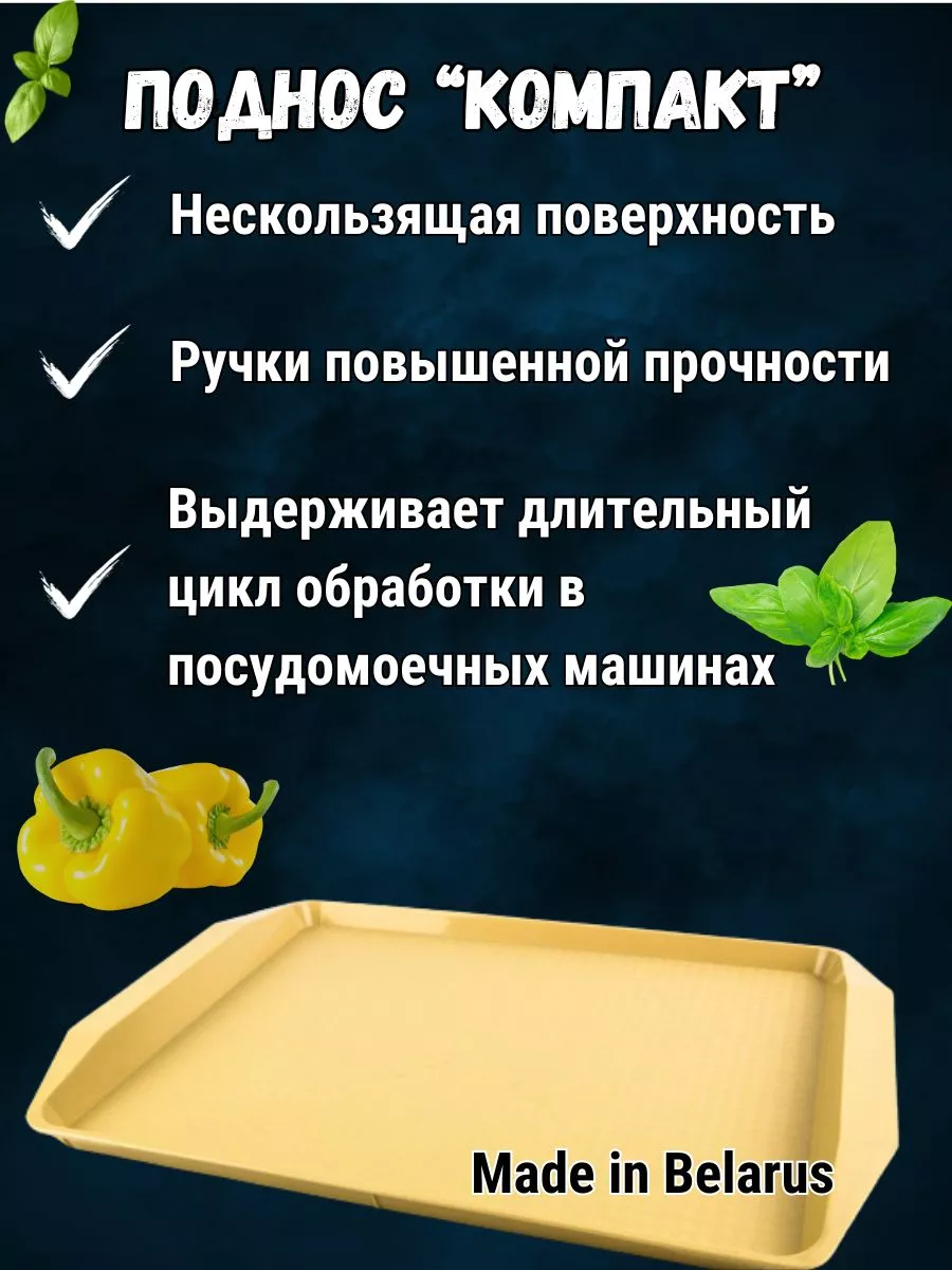 Поднос пластиковый прямоугольный Компакт 2 шт Uniplast 184223929 купить за  543 ₽ в интернет-магазине Wildberries