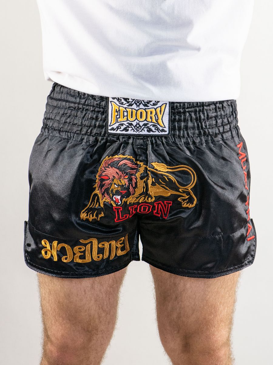 Шорты Muay Thai MT 300 на бойце