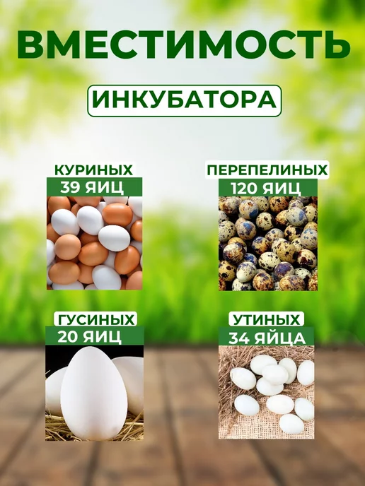 Подворье Инкубатор Janoel 42 автоматический, желтый, фото 2