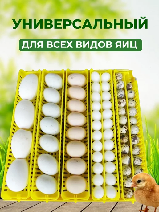 Подворье Инкубатор Janoel 42 автоматический, желтый, фото 3