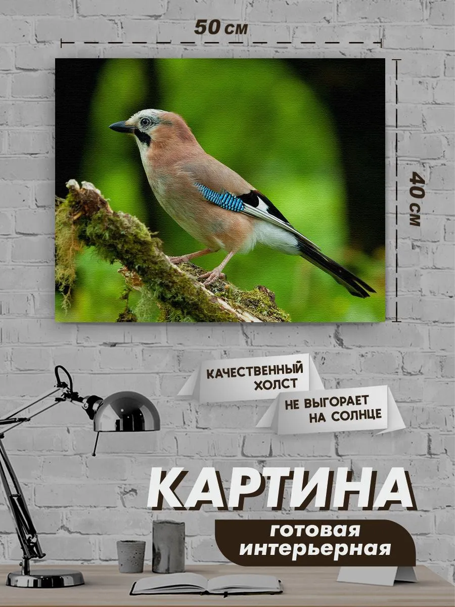 Картина на холсте,40x50,птицы,c подрамником
