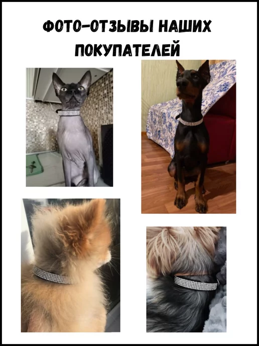 Pet Accessories and Products Ошейник для собак и кошек, черный, фото 6