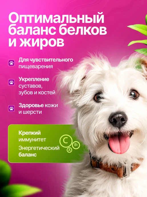Сухой корм ВЕРНЫЕ ДРУЗЬЯ Малых для собак, 5 кг, фото 2
