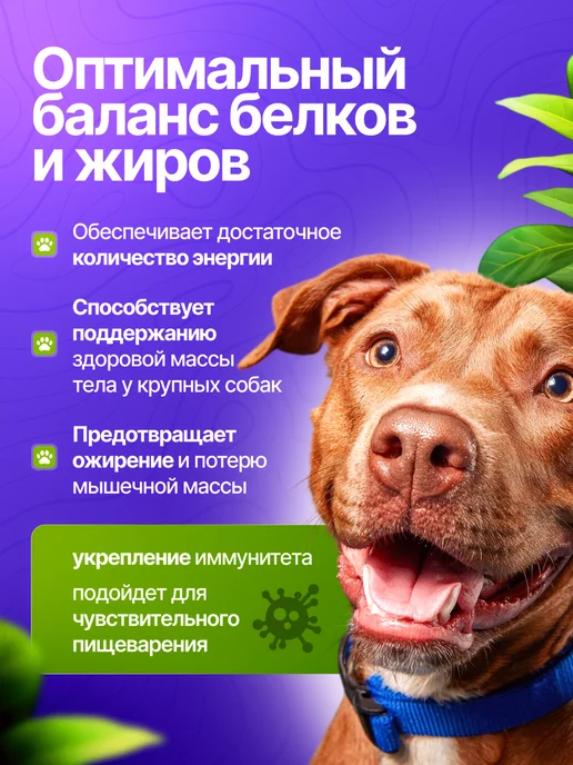 Сухой корм ВЕРНЫЕ ДРУЗЬЯ для собак, крупные, говядина, 5 кг, фото 3