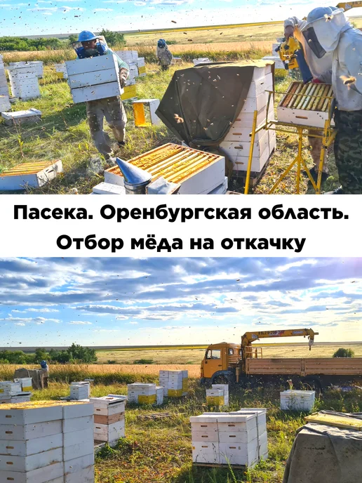 Наш мёд Мед натуральный цветочный 1 кг 2026 года, 1 кг, фото 7