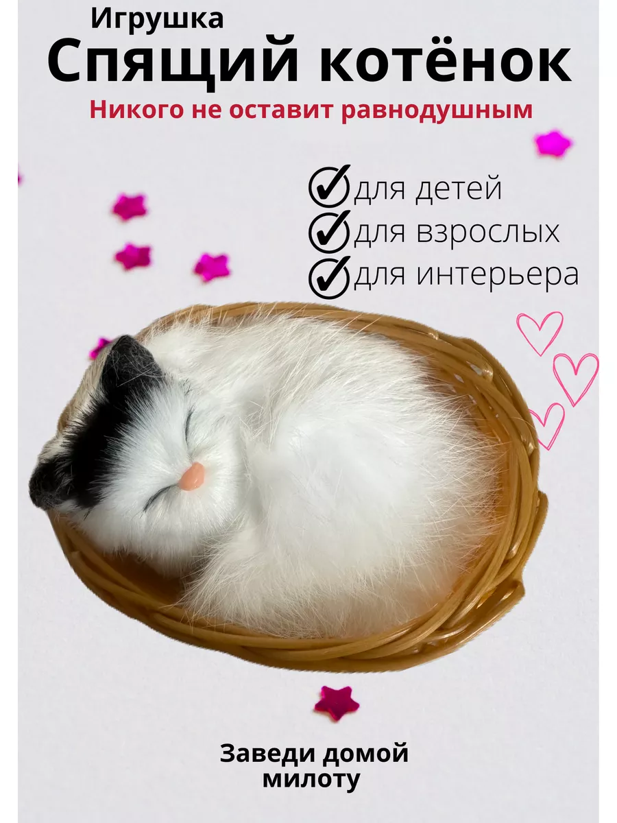 Милые котики